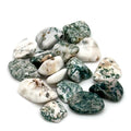 Tree Agate Tumbled Stone | Tumbled Stones | Wiccan Center