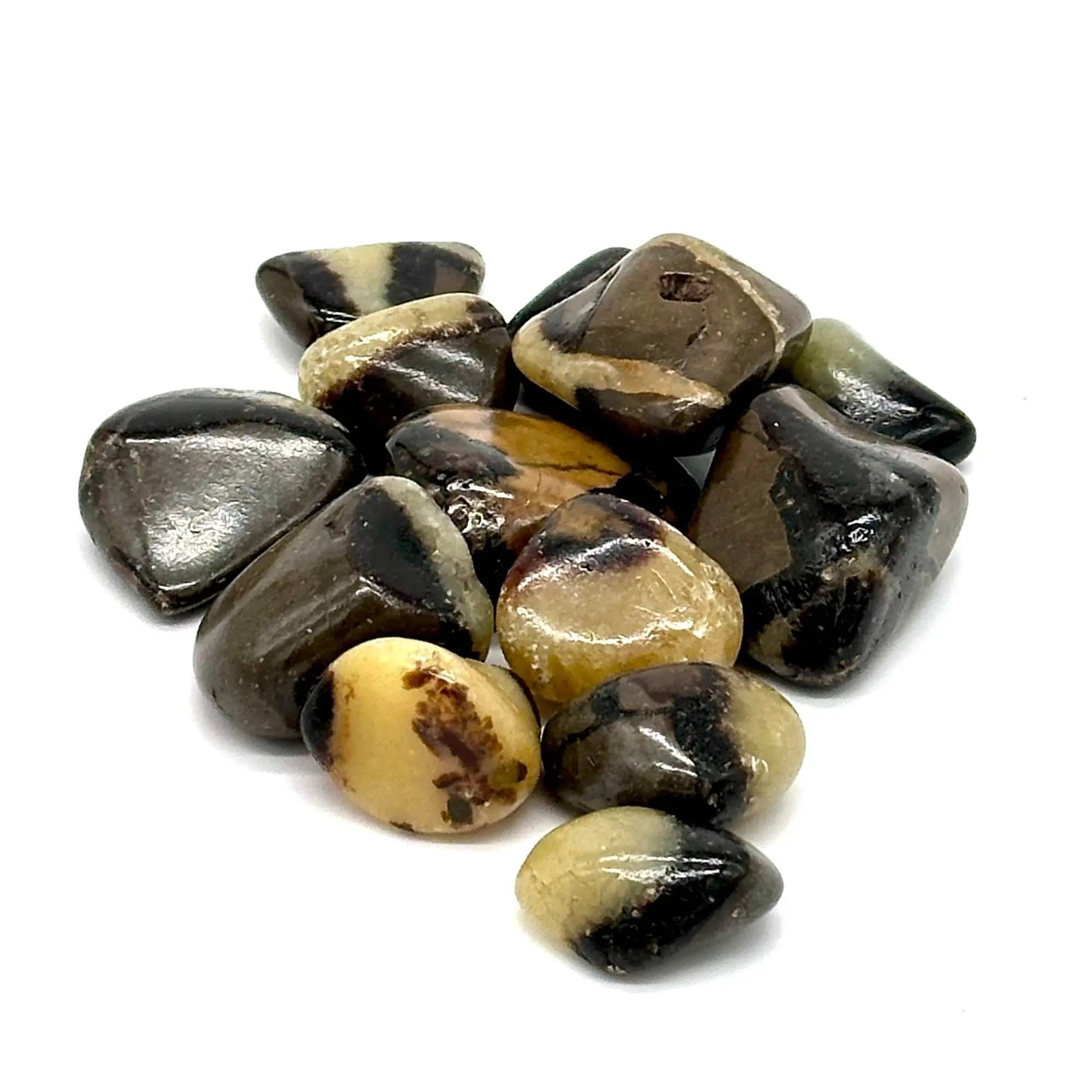 Septarian Tumbled Pocket Stone: The Dragon Stone | Tumbled Stones | Wiccan Center