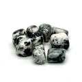 Tourmalinated Quartz (Hand Polished) Tumbled Stone | Tumbled Stones | Wiccan Center