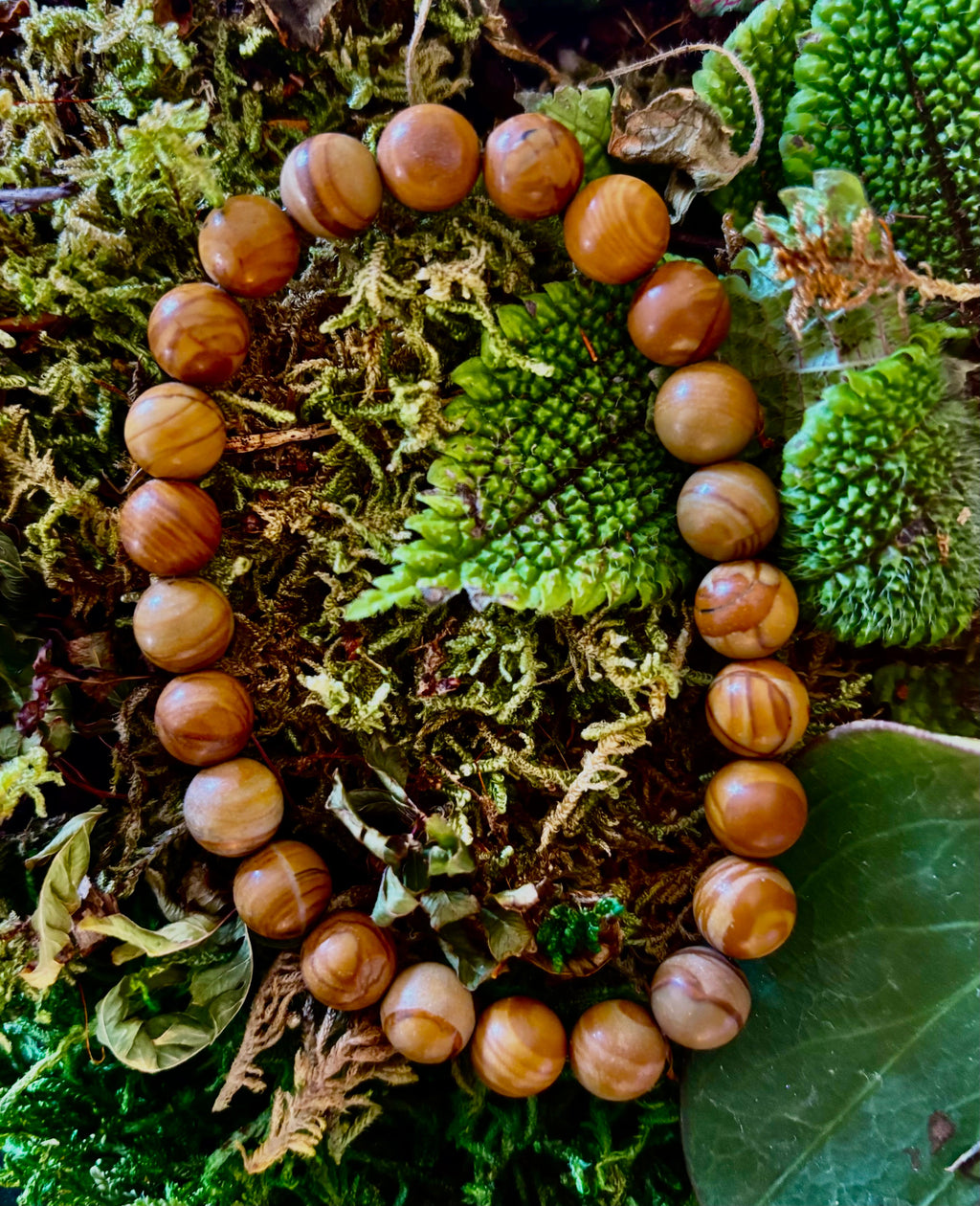 Wood Lace Agate 8mm Reiki-Infused Grounding & Manifestation Bracelet (Medium-Large Wrists) | | Wiccan Center