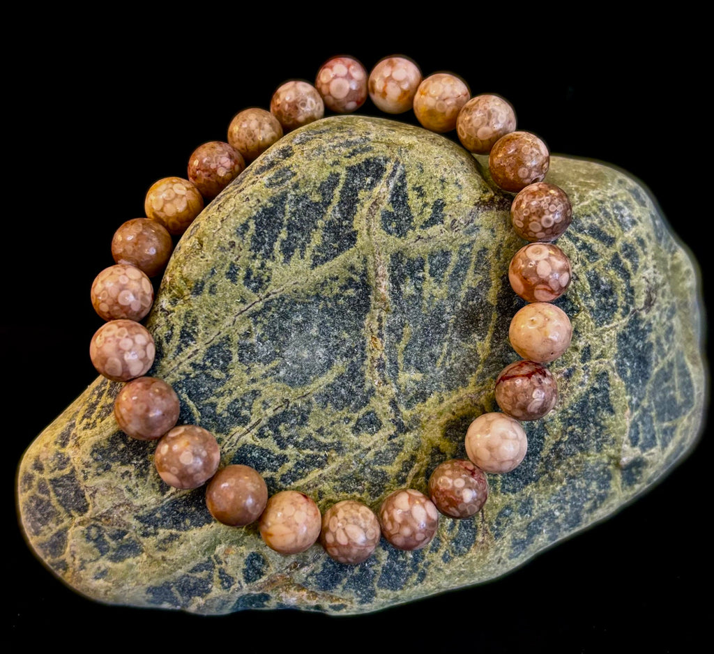 Fossil Coral Bracelet – Natural Grounding Stone for Stability & Calm | | Wiccan Center