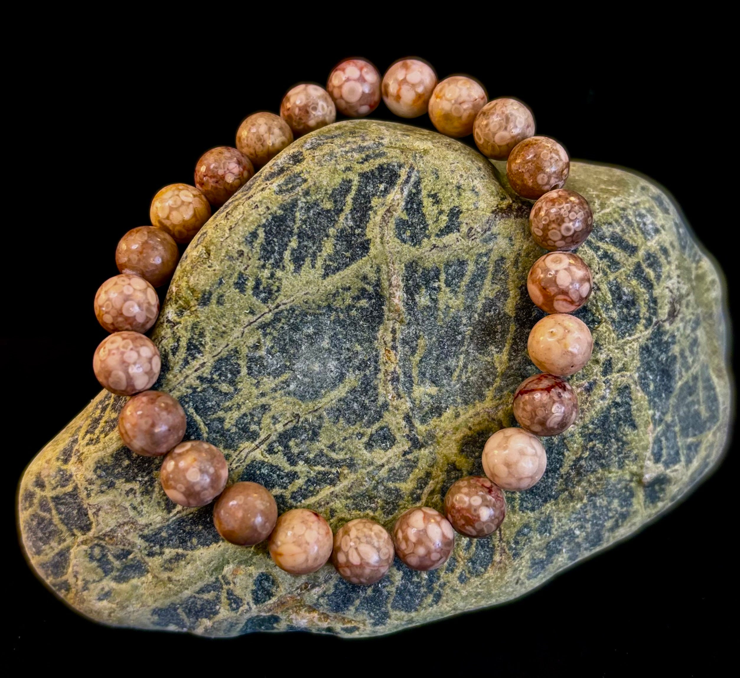 Fossil Coral Bracelet – Natural Grounding Stone for Stability & Calm | | Wiccan Center