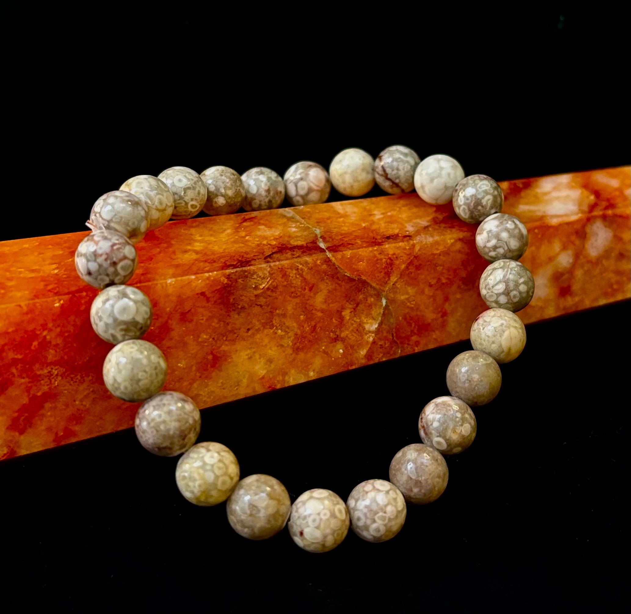 Fossil Coral Bracelet – Natural Grounding Stone for Stability & Calm | | Wiccan Center