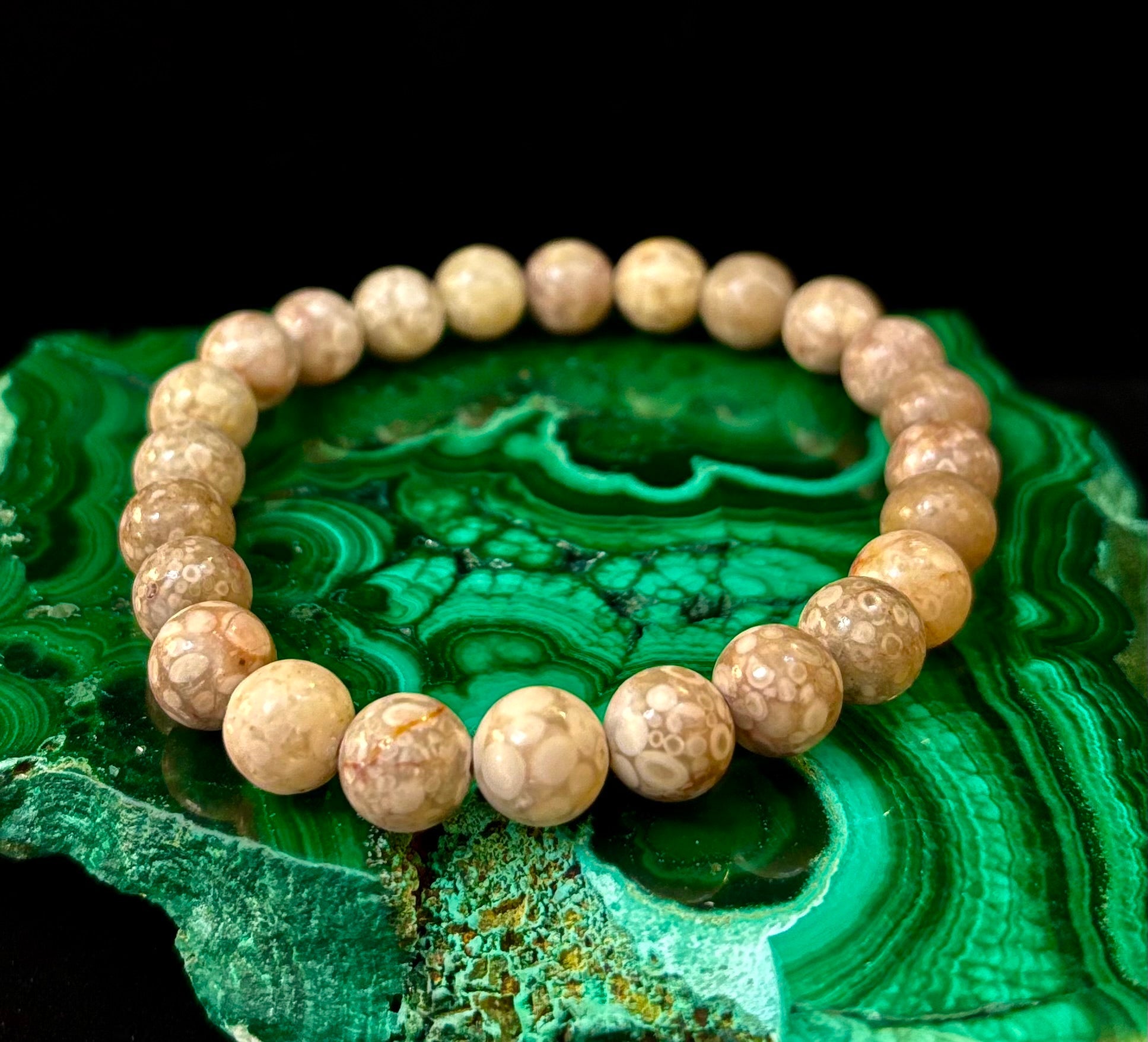 Fossil Coral Bracelet – Natural Grounding Stone for Stability & Calm | | Wiccan Center