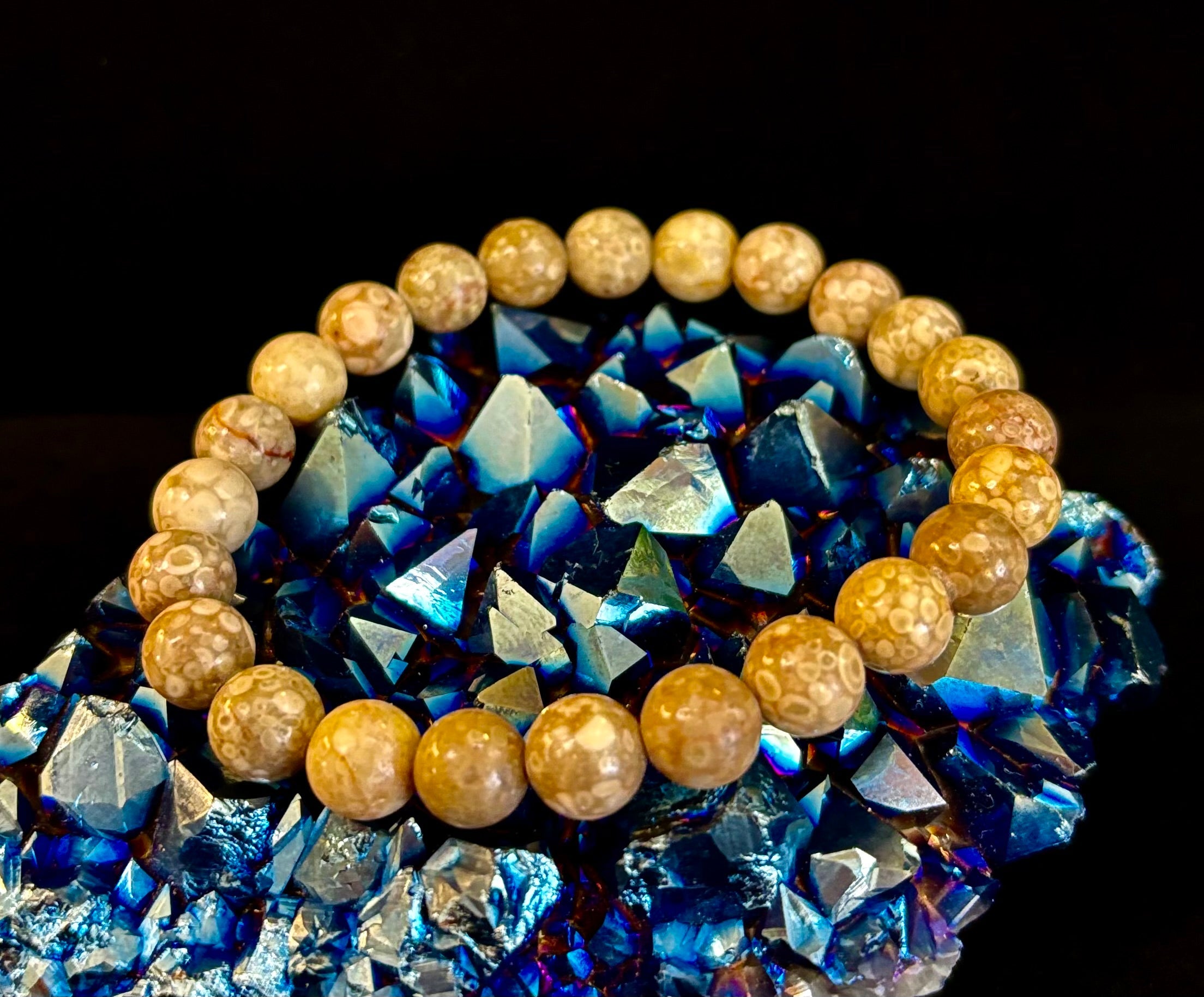 Fossil Coral Bracelet – Natural Grounding Stone for Stability & Calm | | Wiccan Center