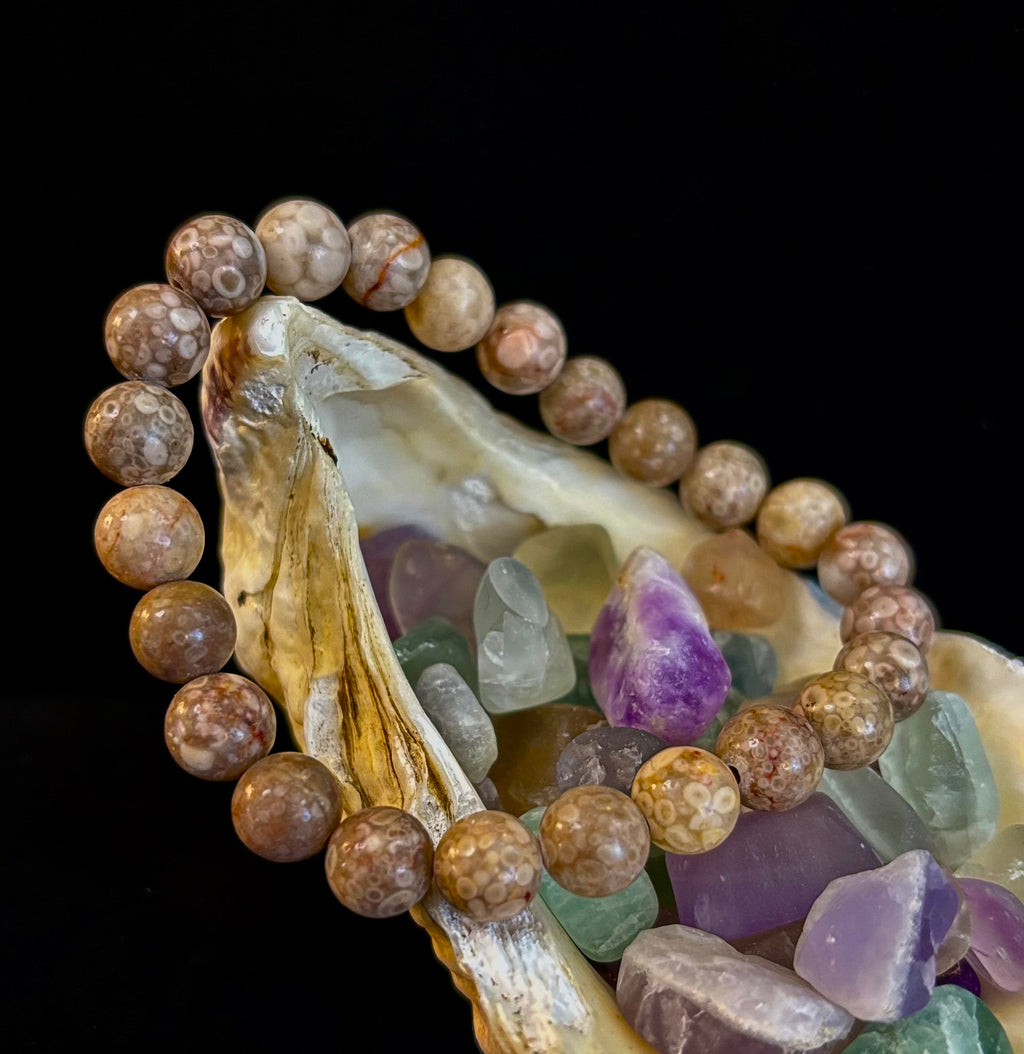 Fossil Coral Bracelet – Natural Grounding Stone for Stability & Calm | | Wiccan Center