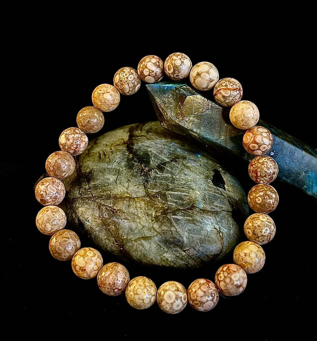 Fossil Coral Bracelet – Natural Grounding Stone for Stability & Calm | | Wiccan Center