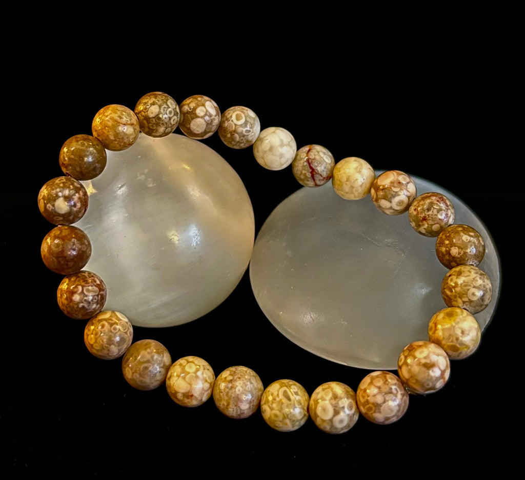Fossil Coral Bracelet – Natural Grounding Stone for Stability & Calm | | Wiccan Center
