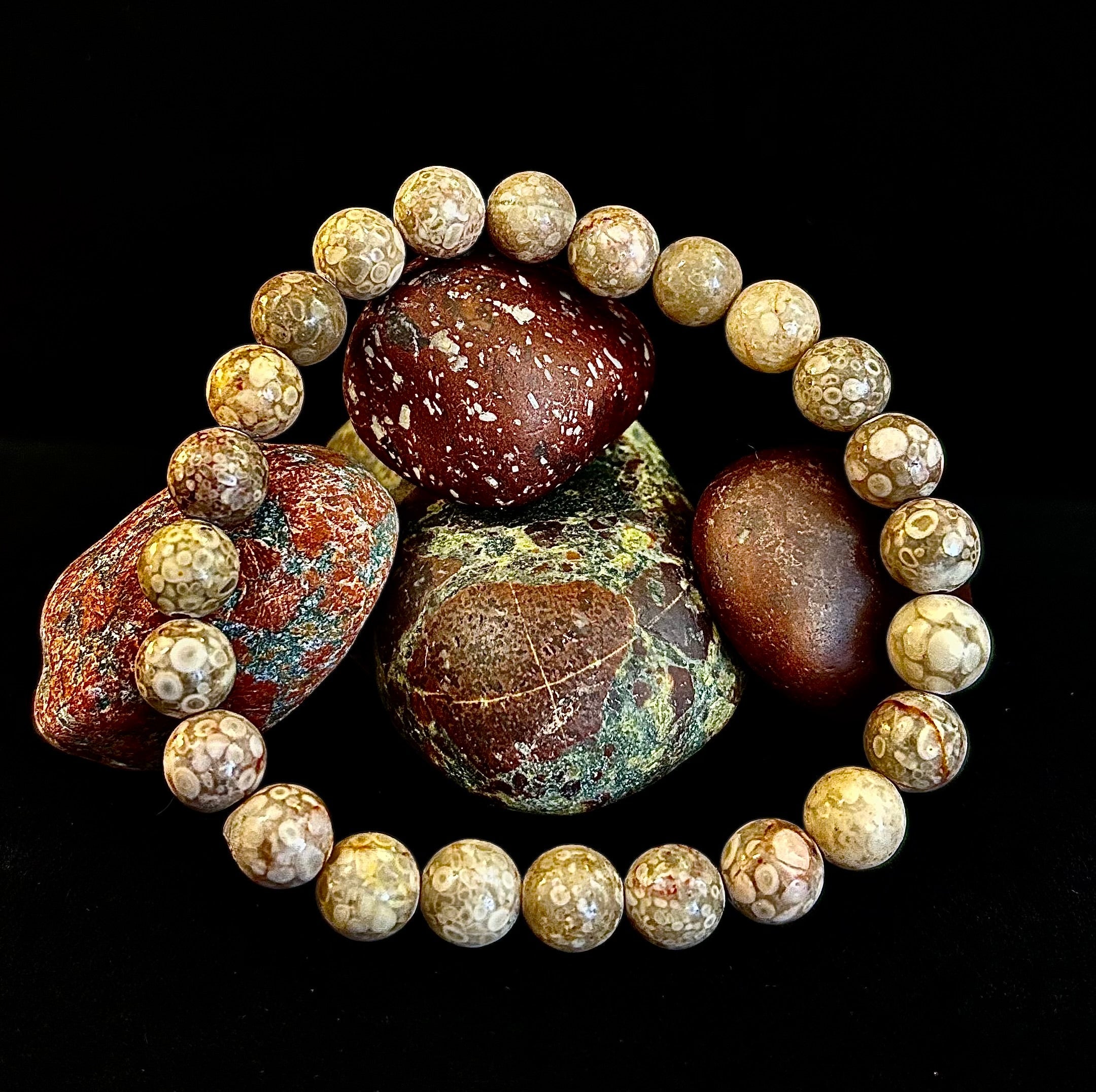 Fossil Coral Bracelet – Natural Grounding Stone for Stability & Calm | | Wiccan Center