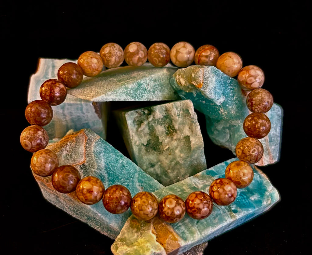 Fossil Coral Bracelet – Natural Grounding Stone for Stability & Calm | | Wiccan Center