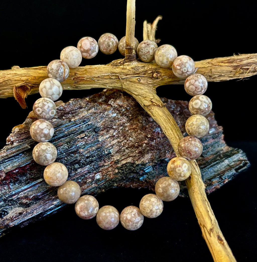 Fossil Coral Bracelet – Natural Grounding Stone for Stability & Calm | | Wiccan Center