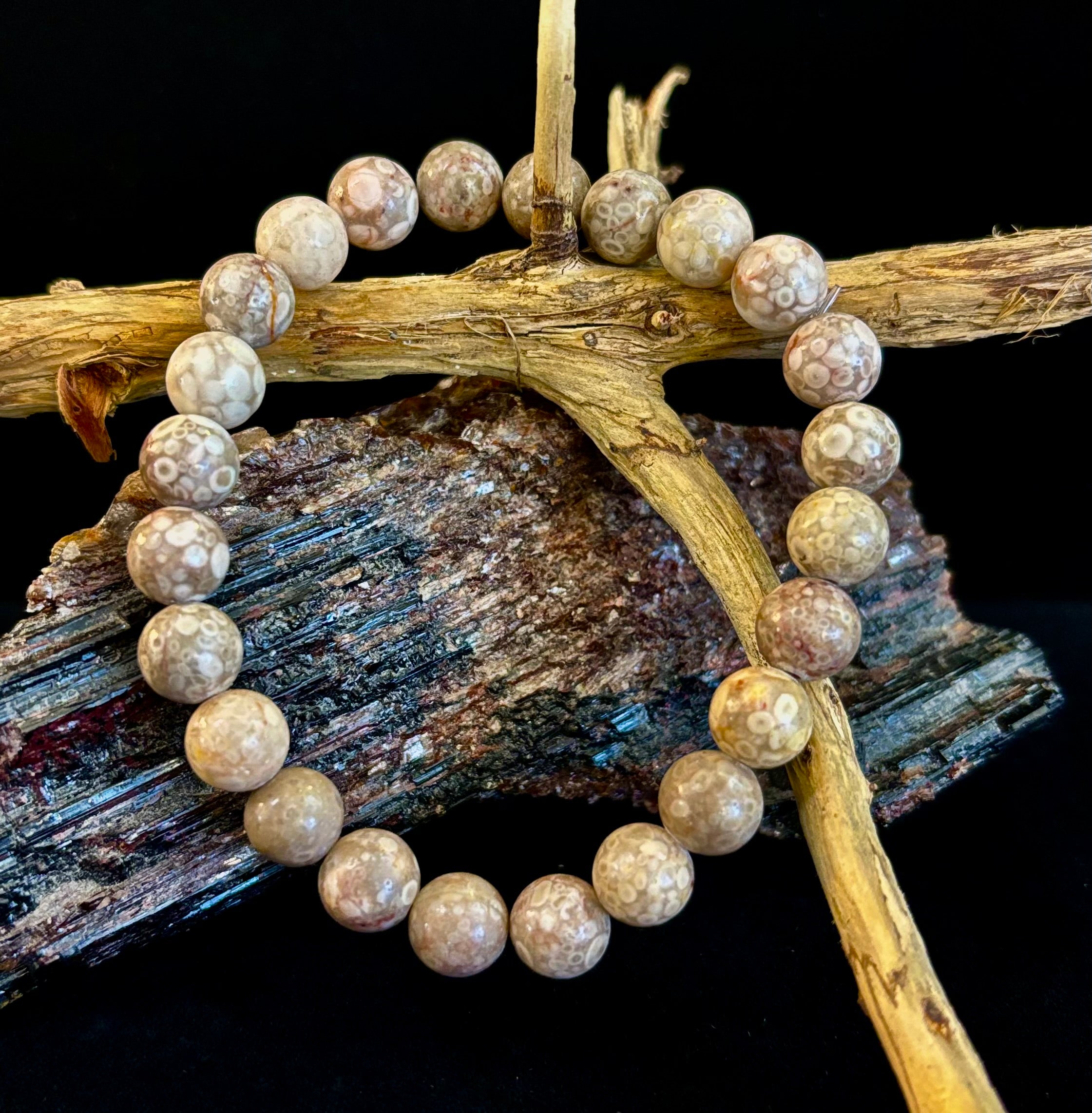 Fossil Coral Bracelet – Natural Grounding Stone for Stability & Calm | | Wiccan Center