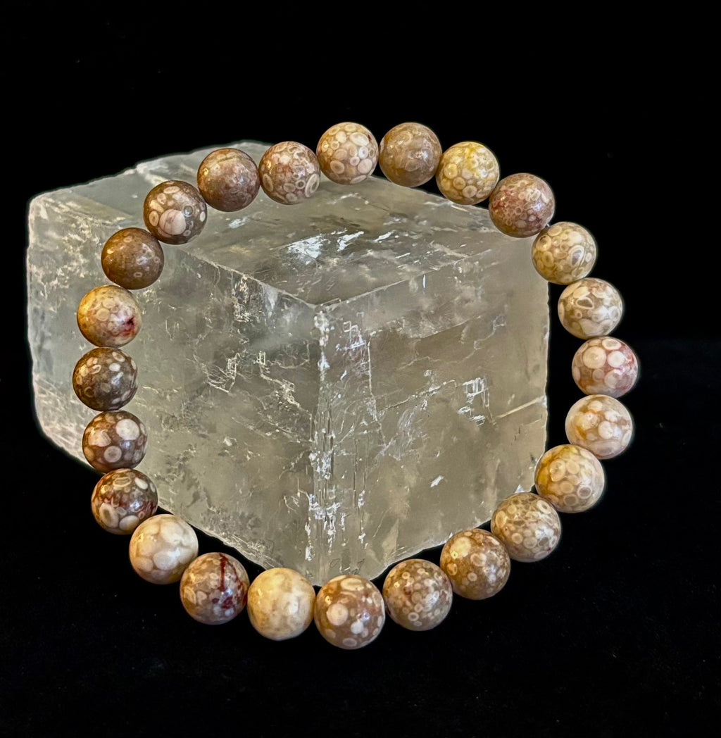 Fossil Coral Bracelet – Natural Grounding Stone for Stability & Calm | | Wiccan Center
