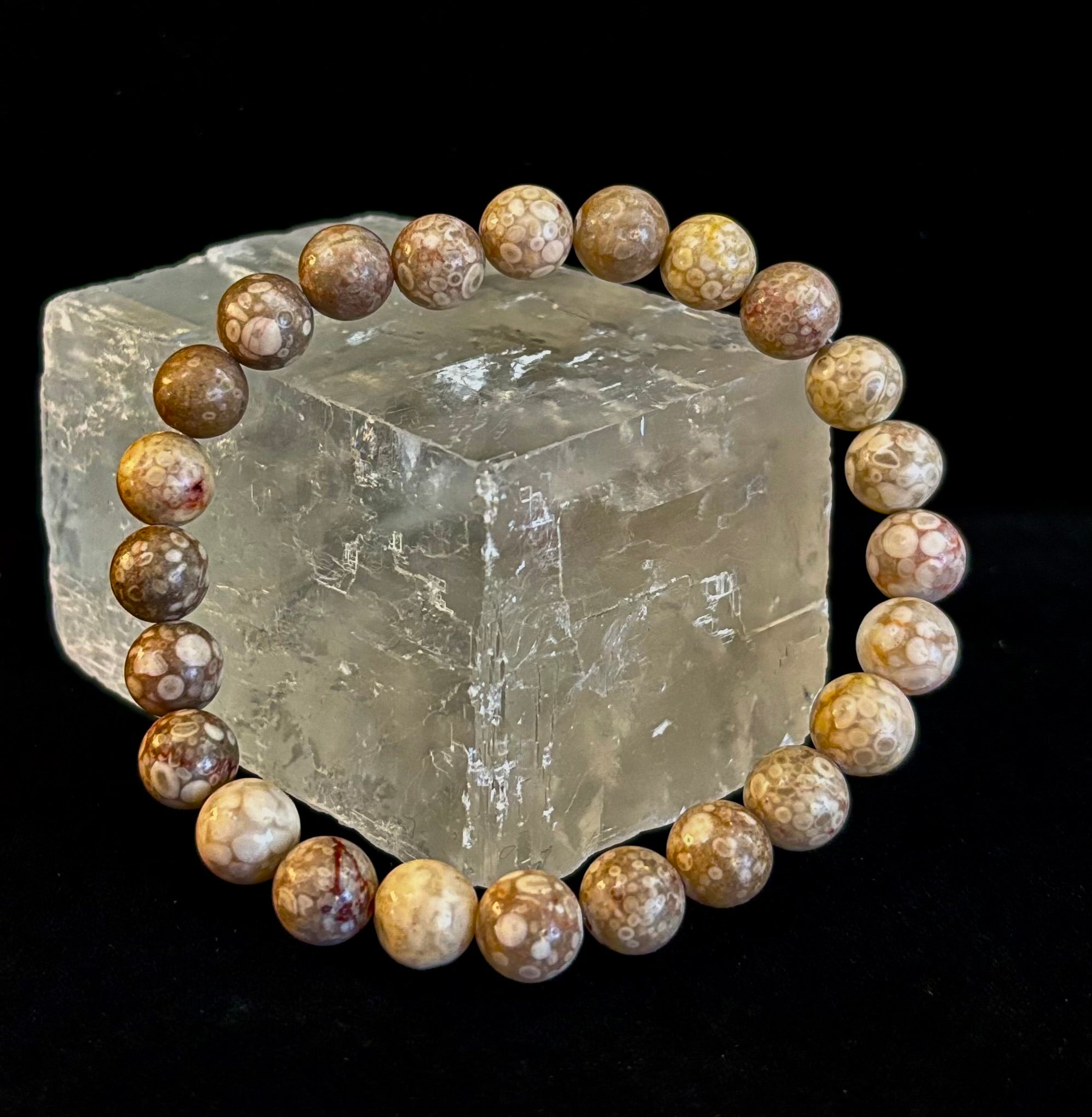 Fossil Coral Bracelet – Natural Grounding Stone for Stability & Calm | | Wiccan Center