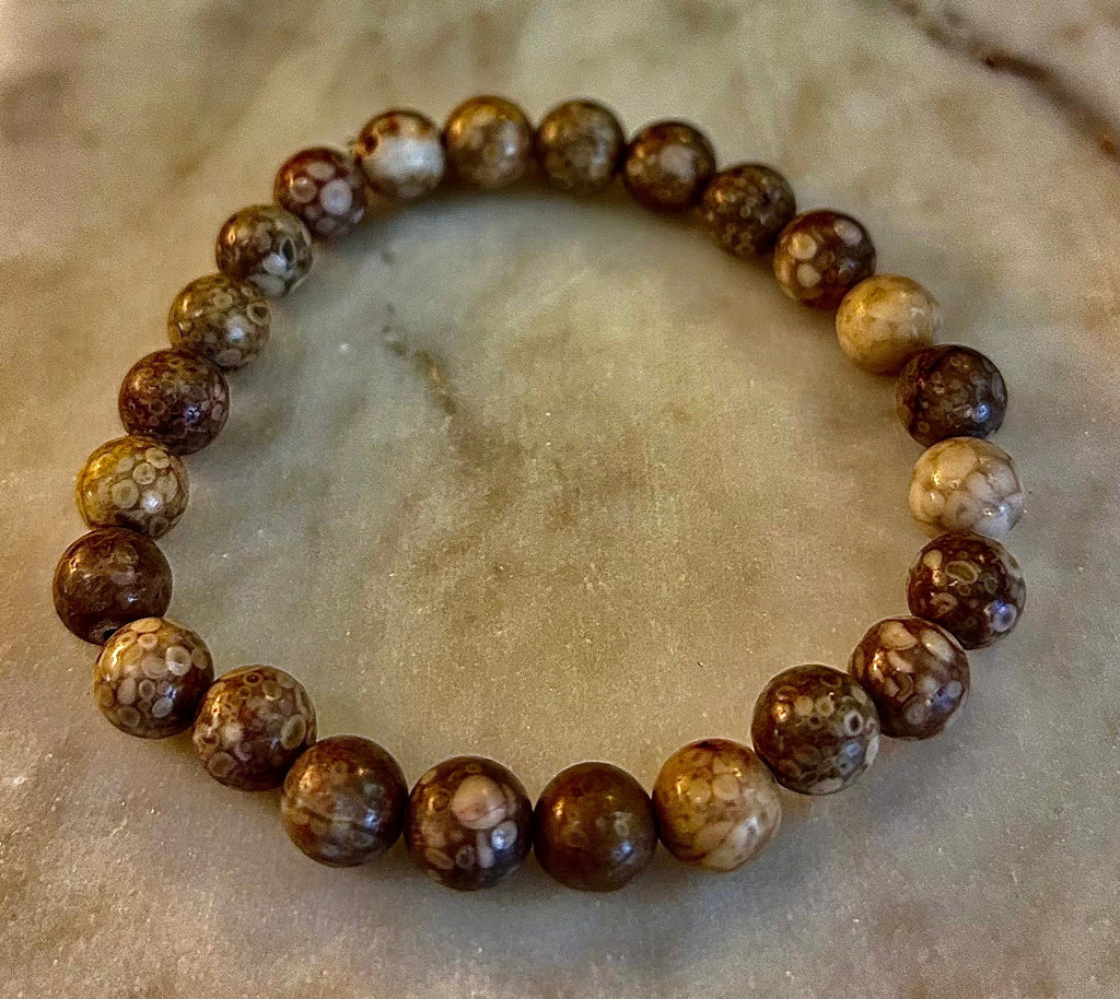 Fossil Coral Bracelet – Natural Grounding Stone for Stability & Calm | | Wiccan Center