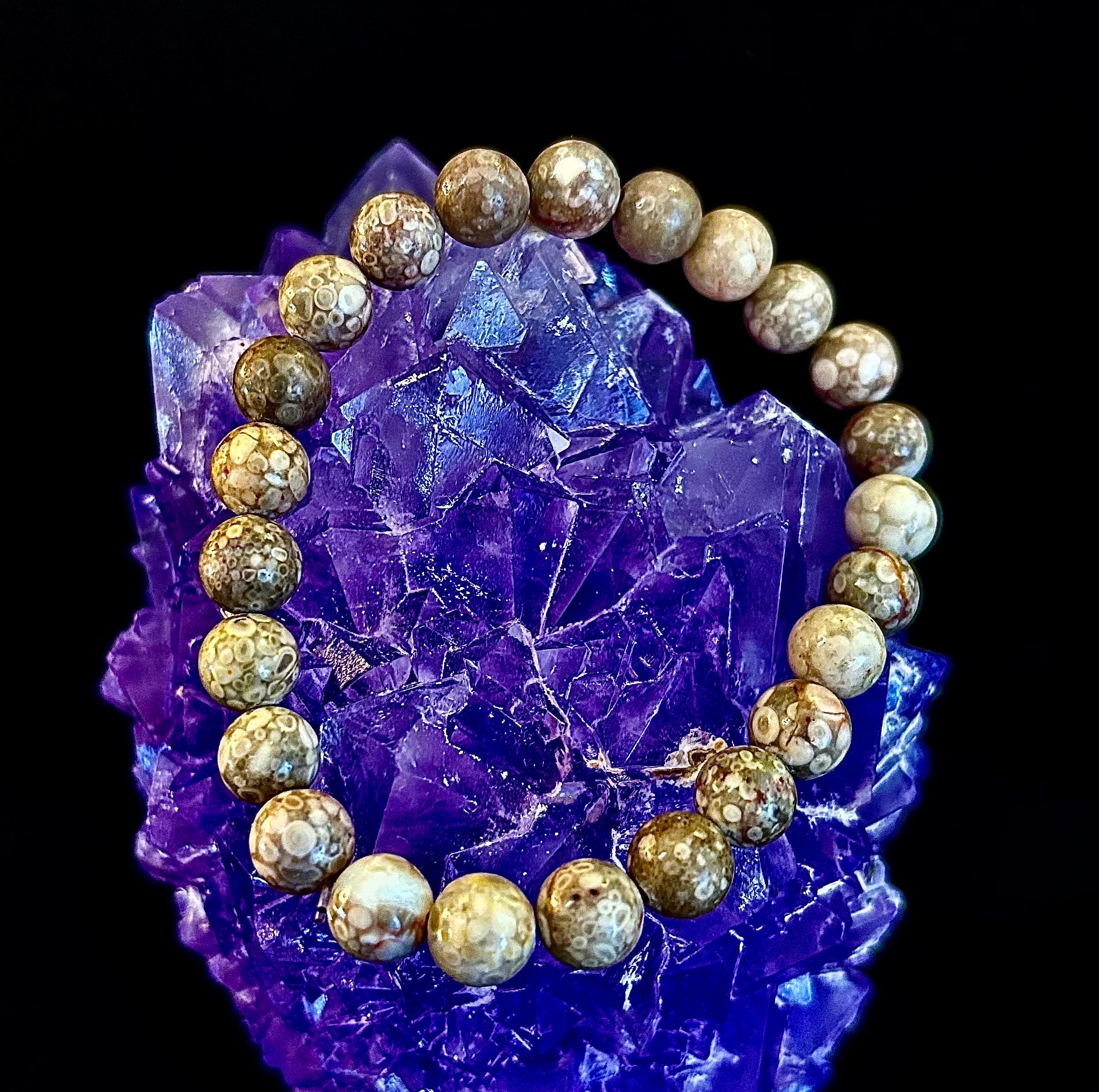 Fossil Coral Bracelet – Natural Grounding Stone for Stability & Calm | | Wiccan Center