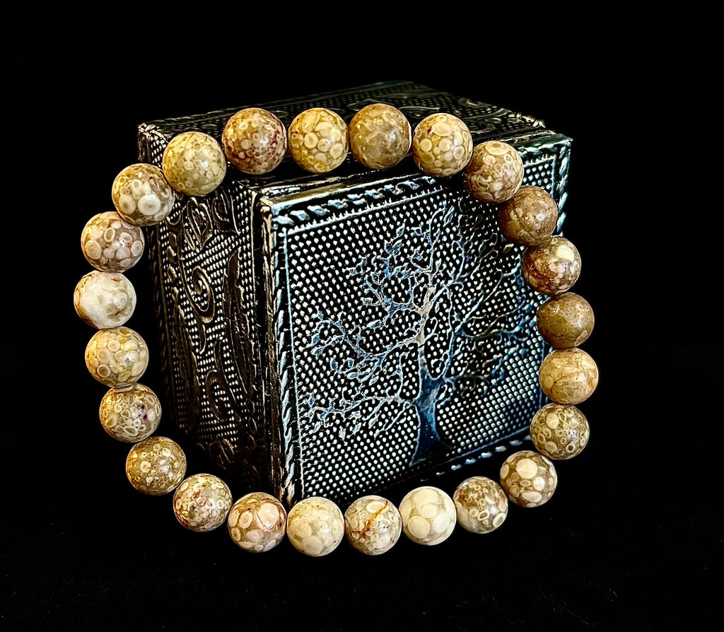Fossil Coral Bracelet – Natural Grounding Stone for Stability & Calm | | Wiccan Center