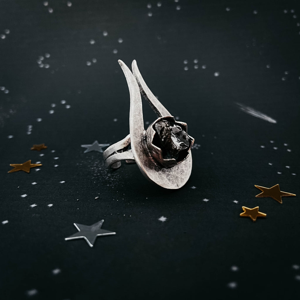 Comet Ring with Authentic Meteorite | Ring | Wiccan Center