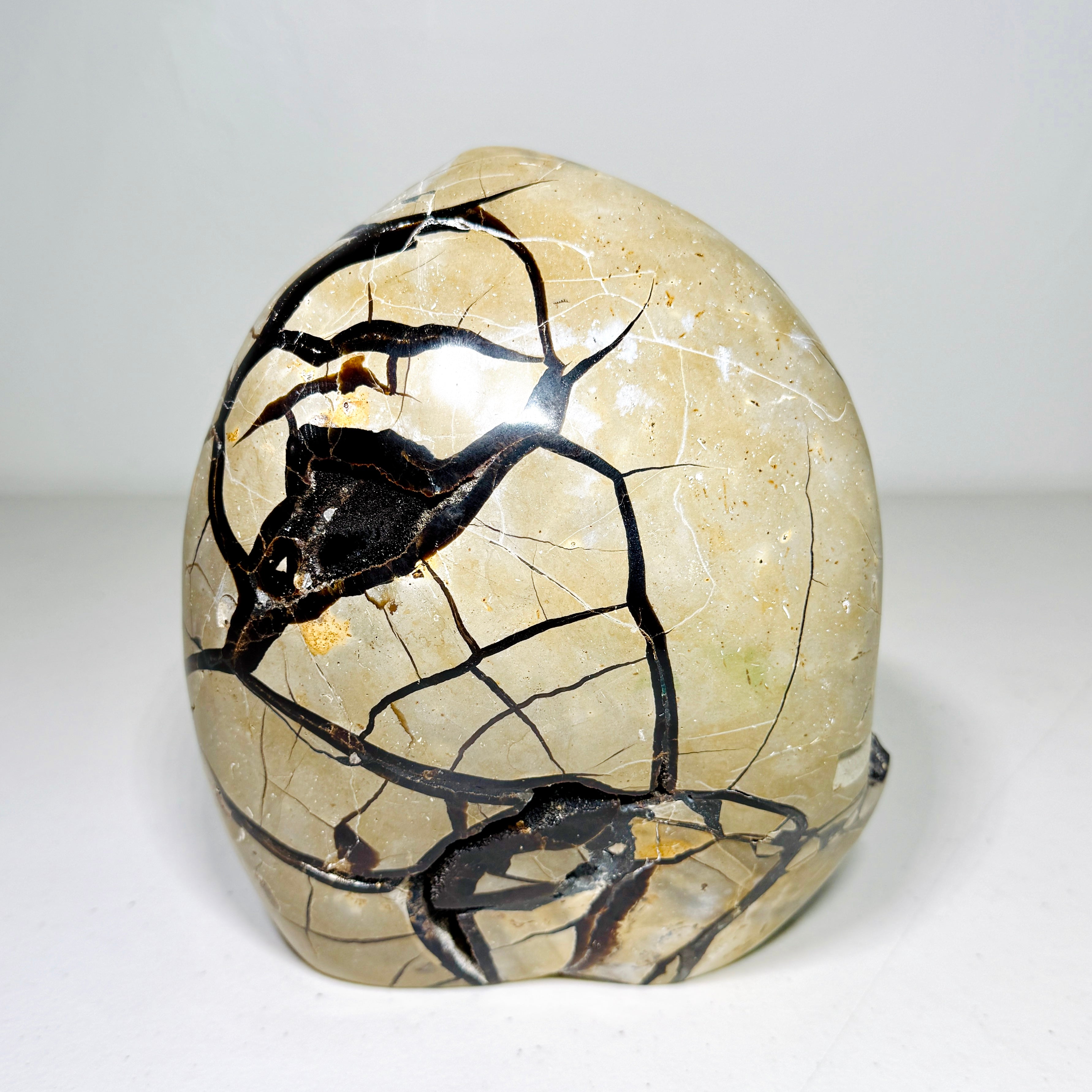 Large Septarian Dragon Stone: Quartz Druzy Freeform (4.7 lbs)