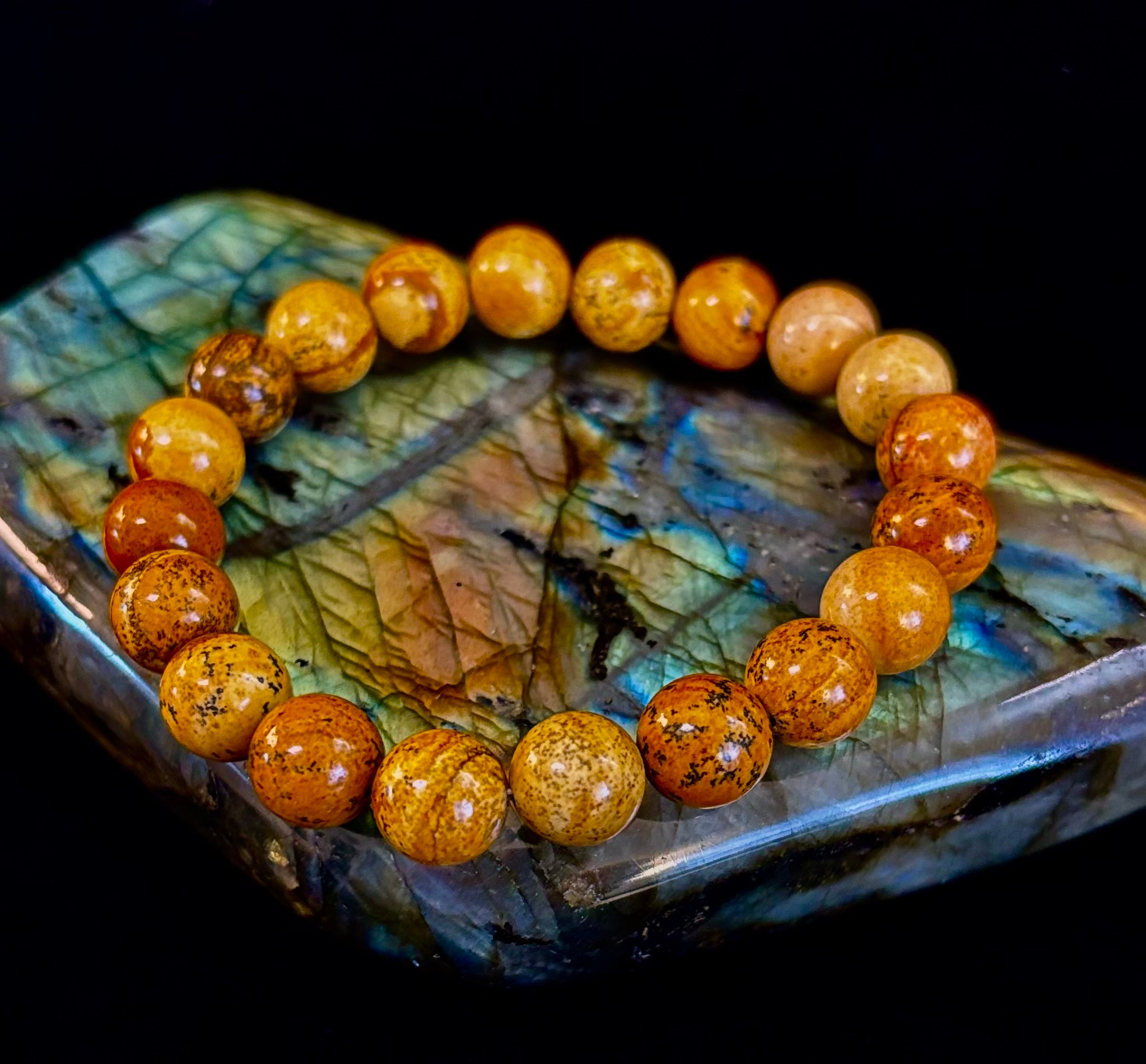 Earth Journey Picture Jasper Bracelet – Reiki-Infused 10mm (Medium–Large Wrists) | | Wiccan Center