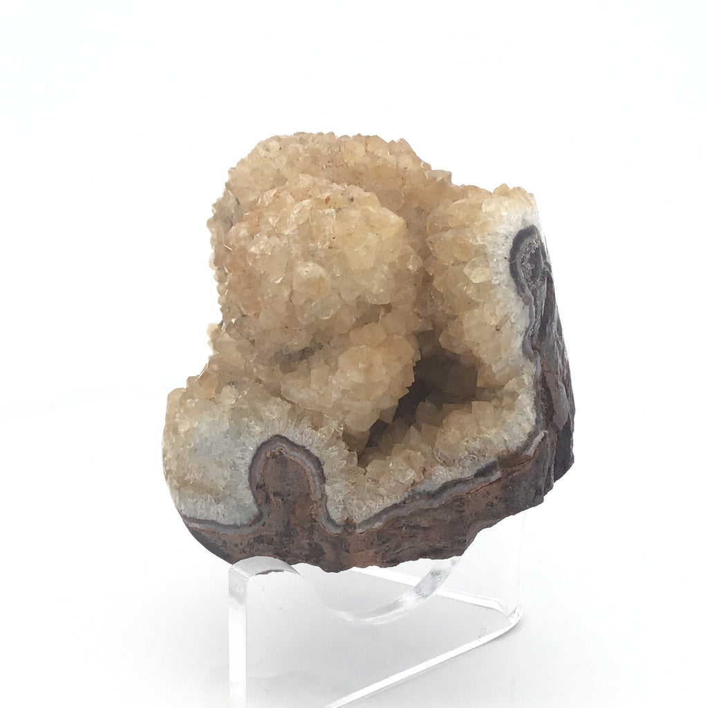 Citrine Druze Stalactite Specimen with Brown Matrix on Lucite Stand | Crystals & Minerals > Specimens | Wiccan Center