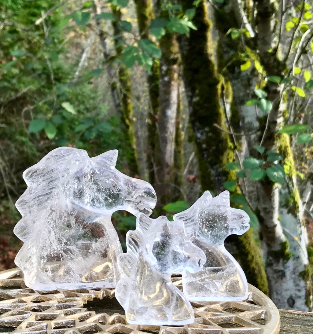 You Pick! Clear Quartz Crystal Unicorns, Assorted