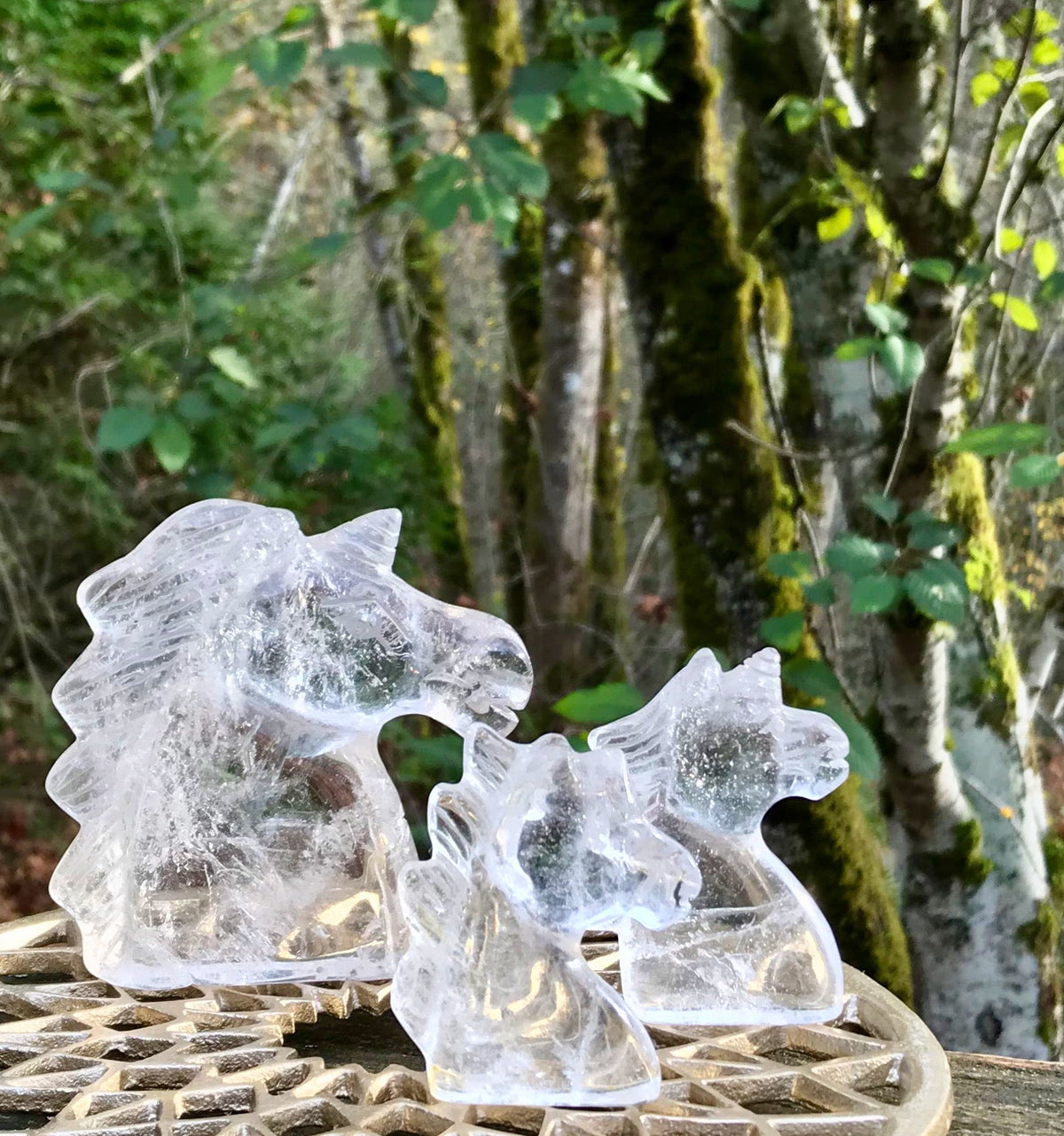 You Pick! Clear Quartz Crystal Unicorns, Assorted
