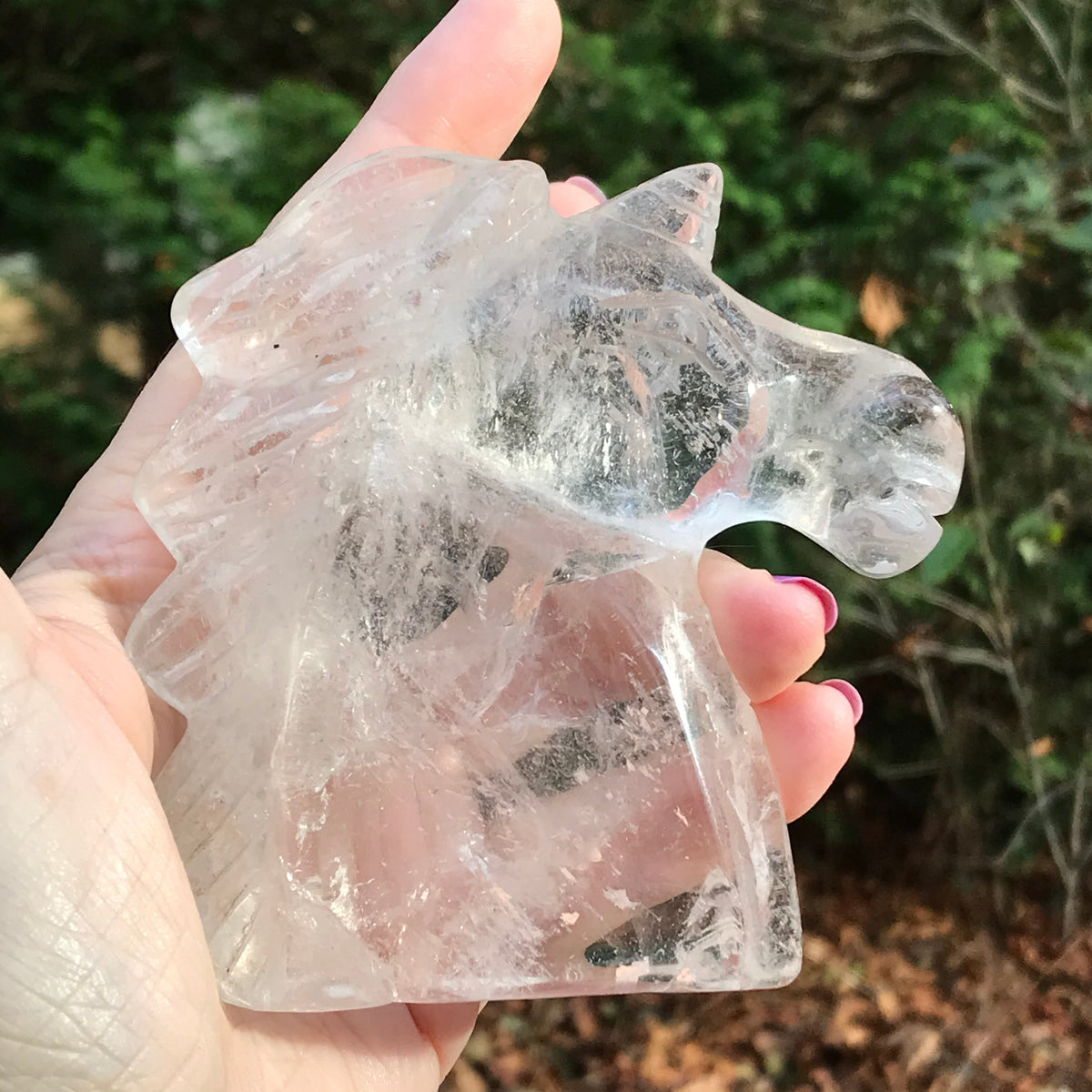 You Pick! Clear Quartz Crystal Unicorns, Assorted