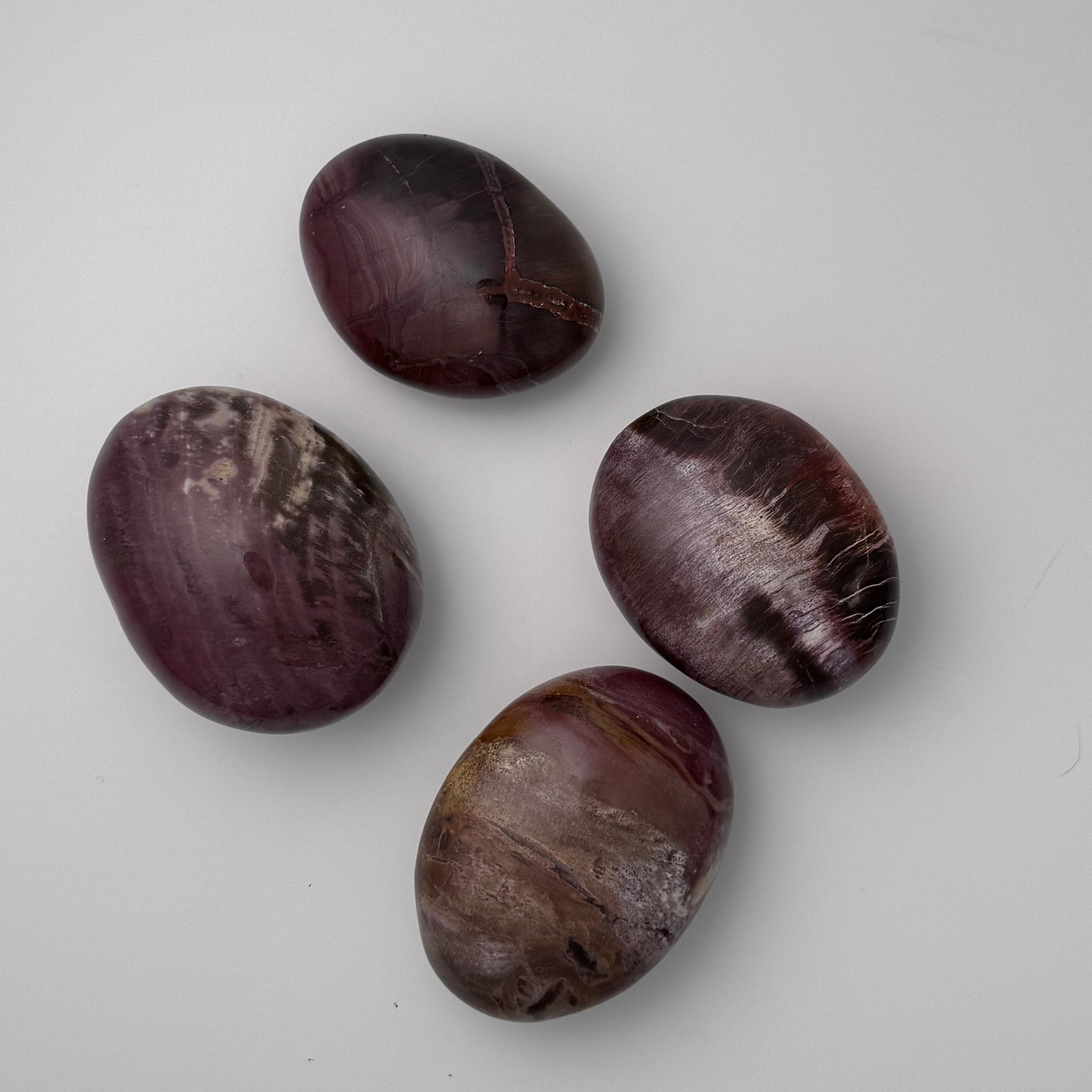 Petrified Wood | | Wiccan Center
