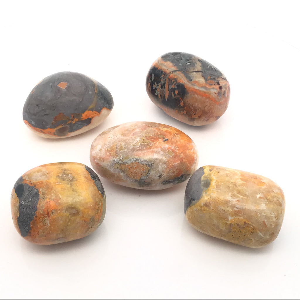Bumblebee Jasper Tumbled Stones - large | Crystals & Minerals > Specimens | Wiccan Center