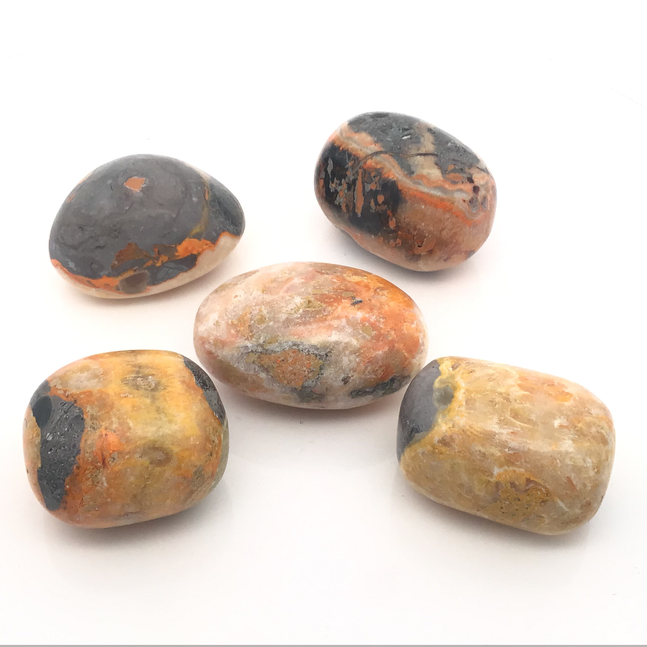 Bumblebee Jasper Tumbled Stones - large | Crystals & Minerals > Specimens | Wiccan Center