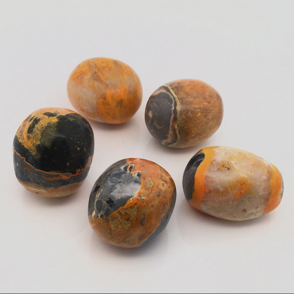 Bumblebee Jasper Tumbled Stones - large | Crystals & Minerals > Specimens | Wiccan Center