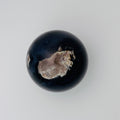 Volcano Agate (UV Reactive) | | Wiccan Center