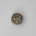 Dalmation Jasper Tumble | | Wiccan Center