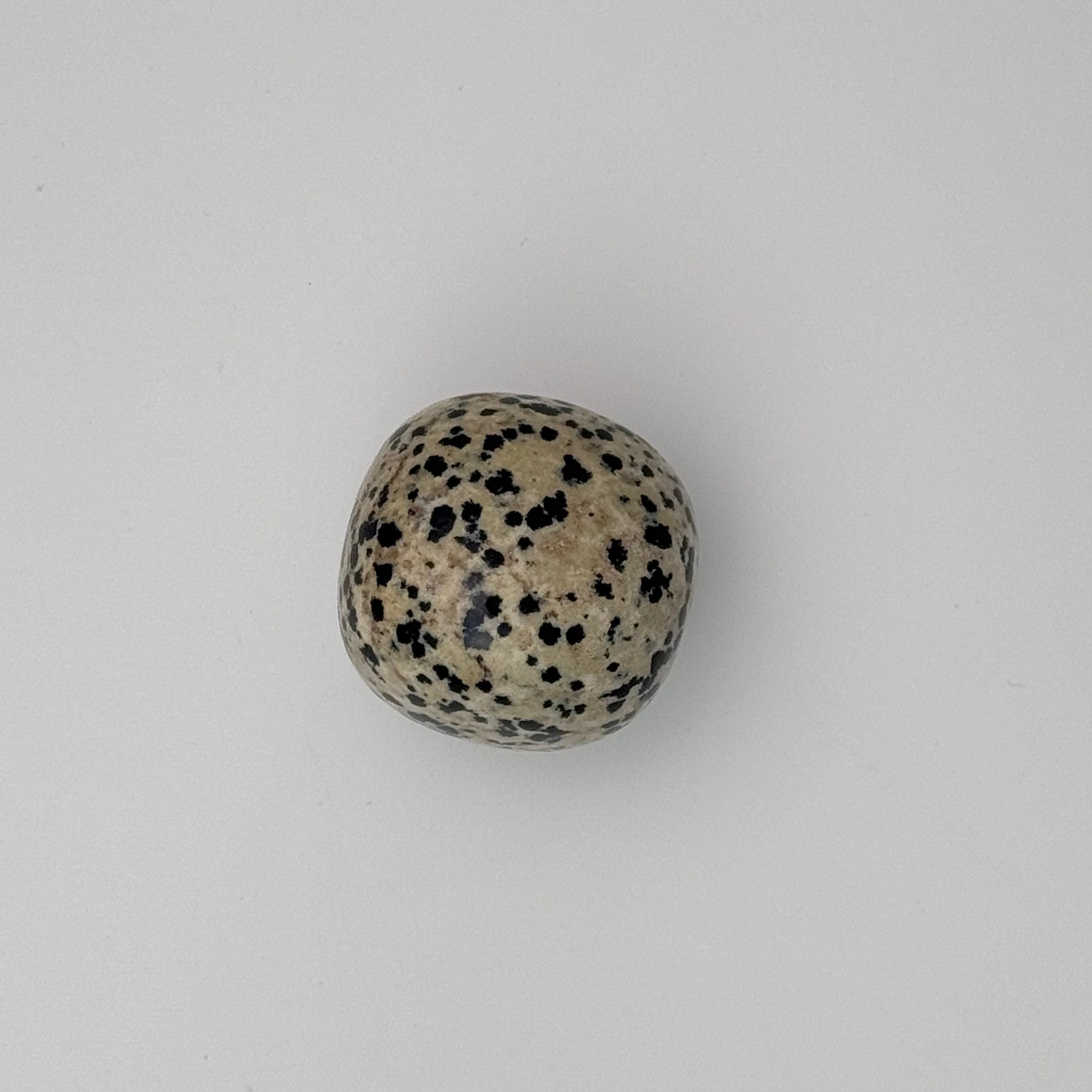 Dalmation Jasper Tumble | | Wiccan Center
