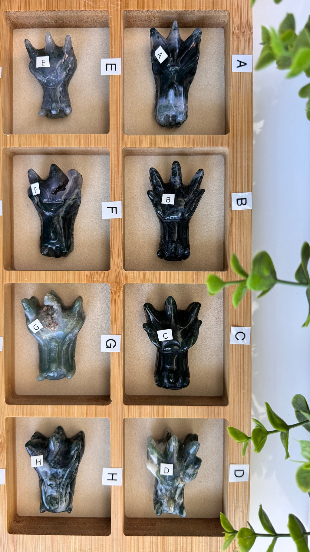 Moss Agate Dragon, You Choose 2-2.5" Crystal Dragon Head Skull for Stable Growth | Crystals | Wiccan Center