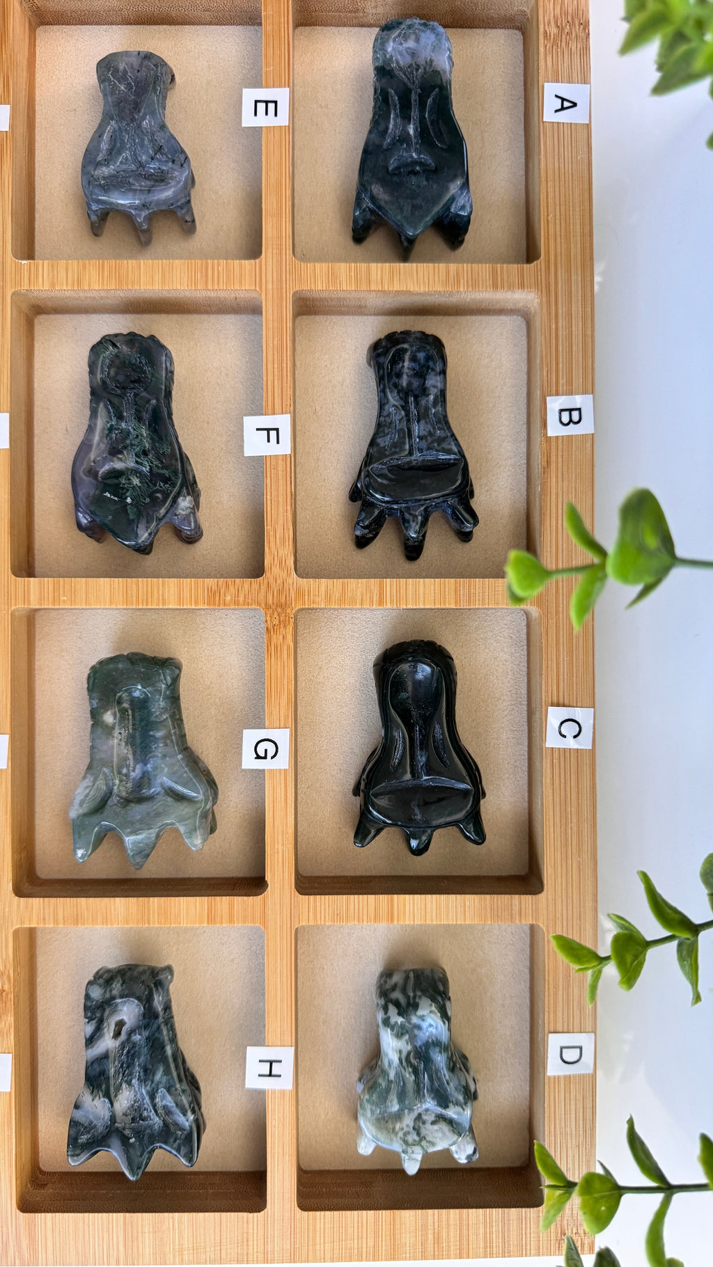 Moss Agate Dragon, You Choose 2-2.5" Crystal Dragon Head Skull for Stable Growth | Crystals | Wiccan Center