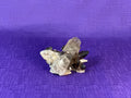 Smoky Quartz Cluster | 2-3" Natural Smoky Quartz Crystals