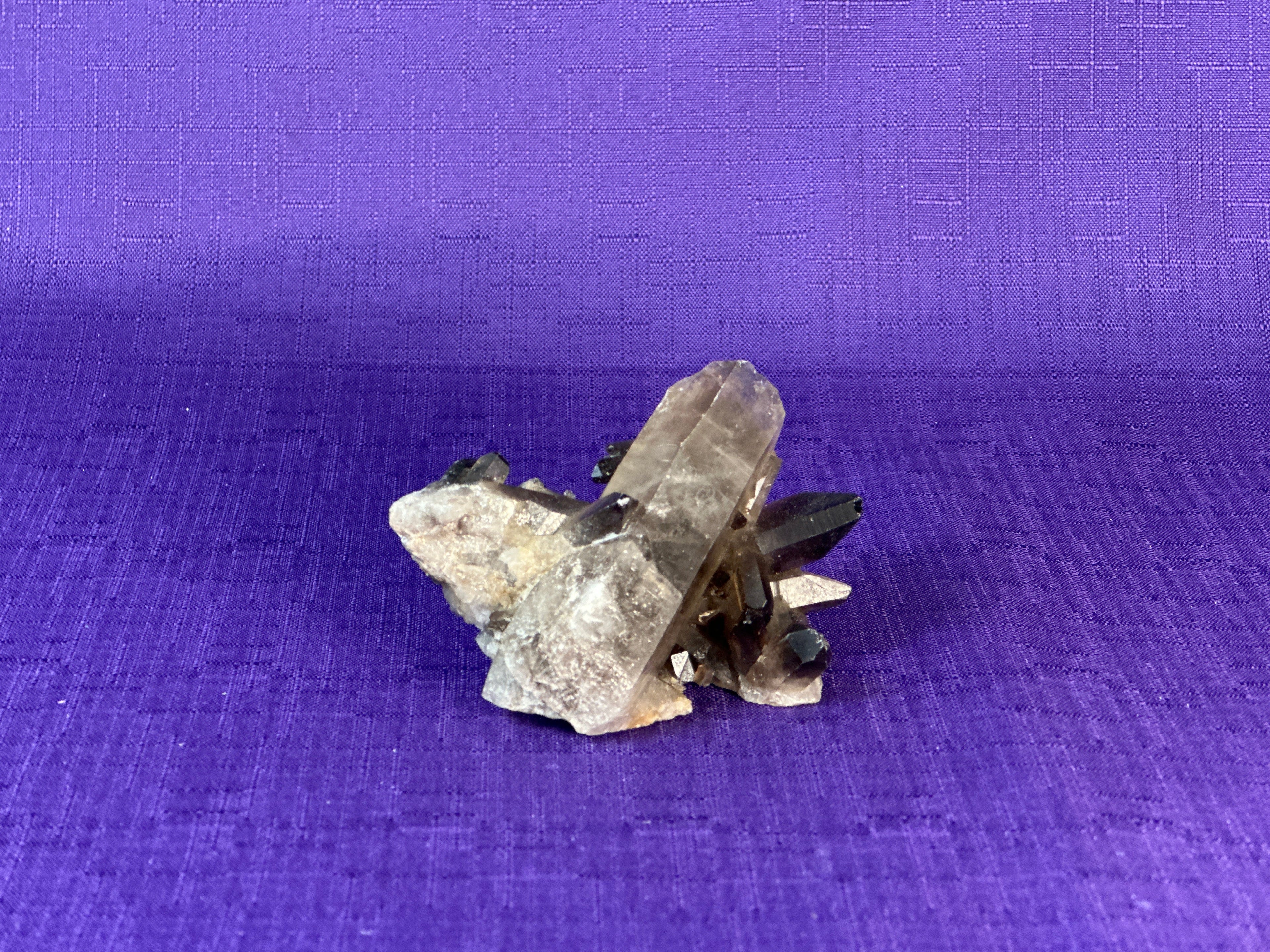 Smoky Quartz Cluster | 2-3" Natural Smoky Quartz Crystals