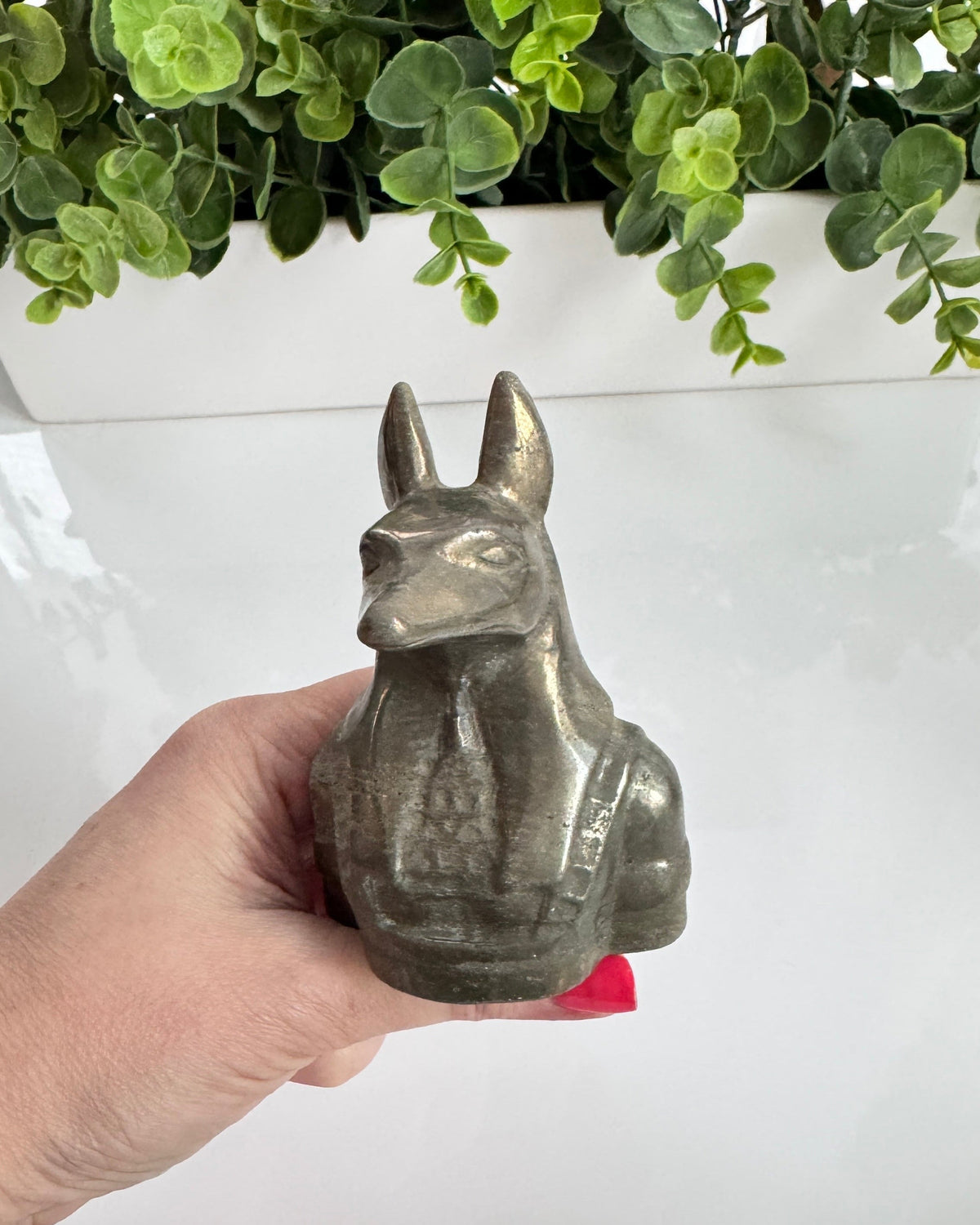 Pyrite Anubis 4” XL Bust, Egyptian Dog Carving