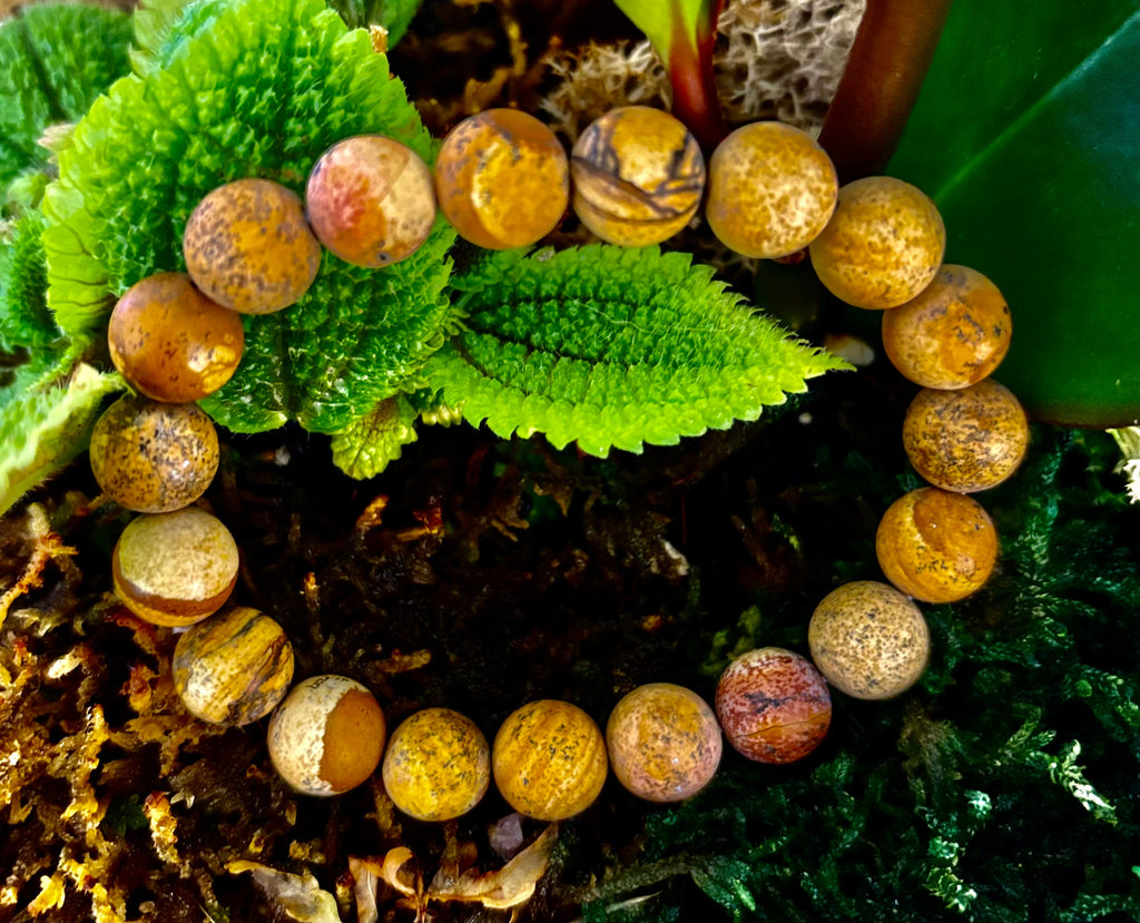Matte Picture Jasper Power Bracelet – 10mm Grounding & Strength Stone Bracelet | | Wiccan Center