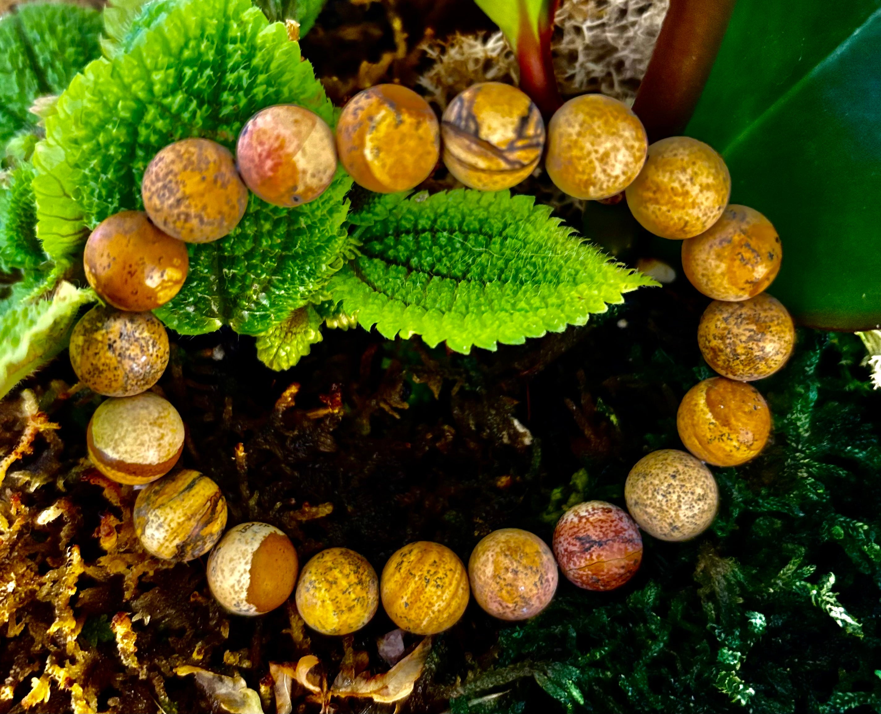 Matte Picture Jasper Power Bracelet – 10mm Grounding & Strength Stone Bracelet | | Wiccan Center