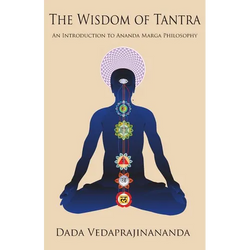 The Wisdom of Tantra - Paperback | Books | Wiccan Center