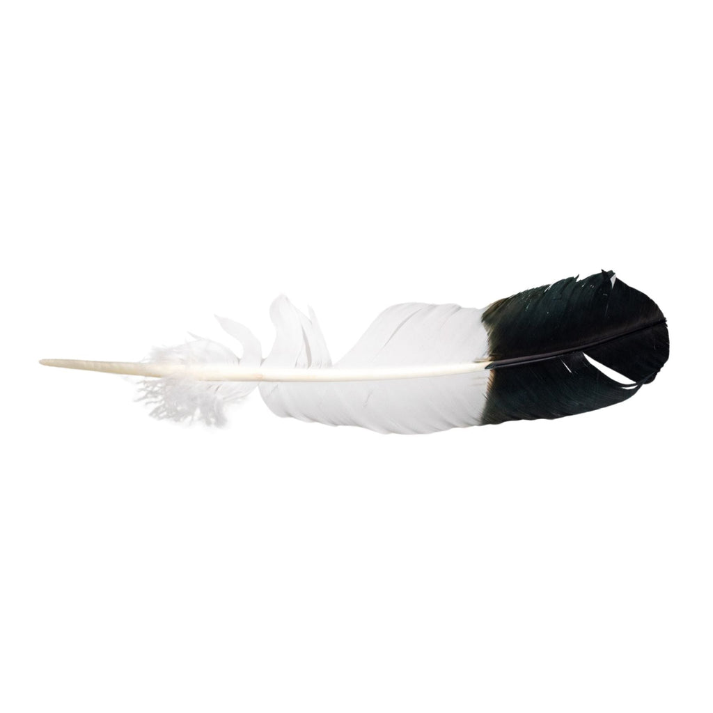 Imitation Eagle Feather | Religious Items | Wiccan Center