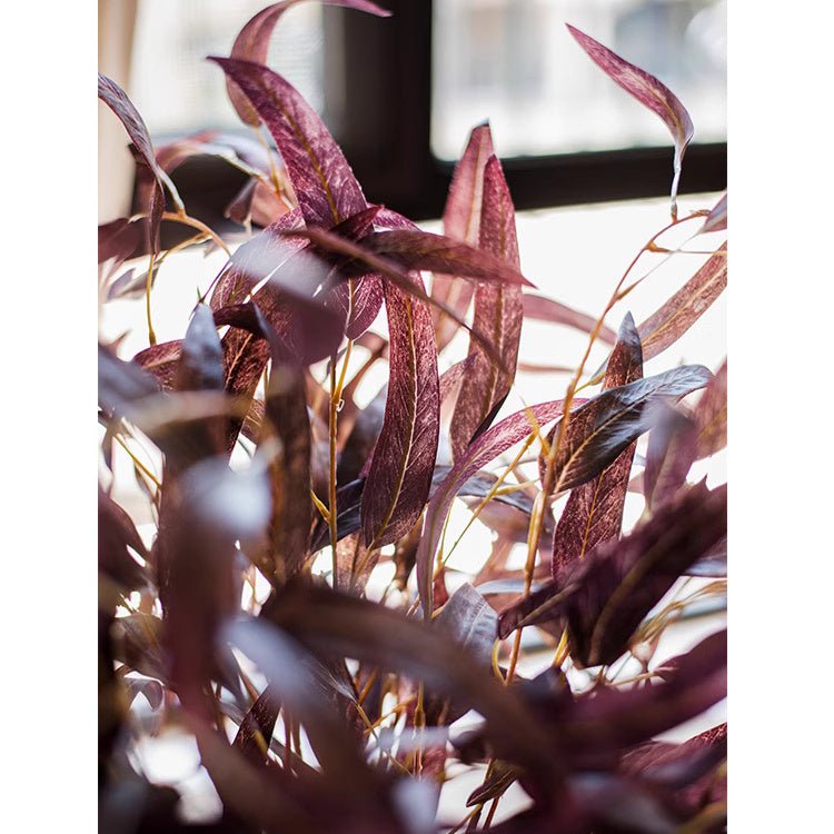 Whispers of Autumn Eucalyptus Stem 33" Tall | | Wiccan Center