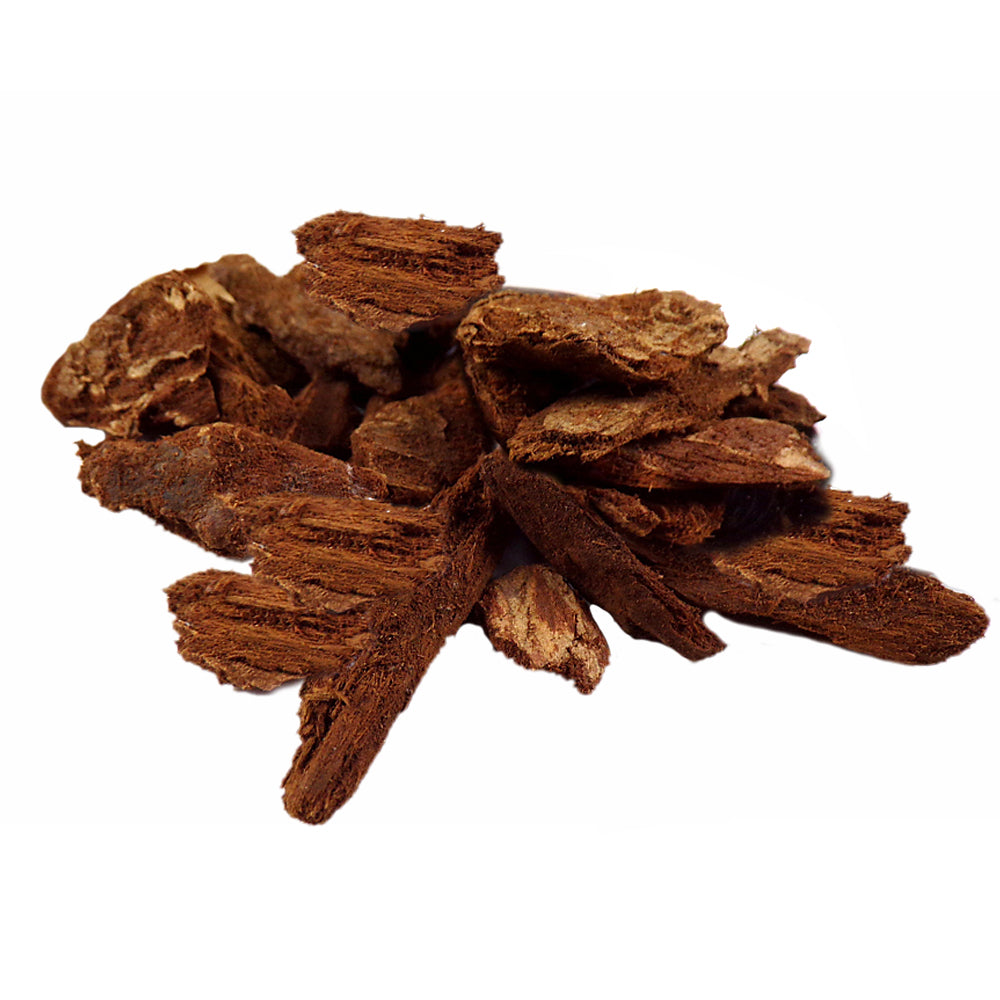 Jezebel Root Pieces Herbs 1oz | Herbs | Wiccan Center