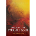 Exploring the Eternal Soul - Insights from the Life Between Lives - Paperback | Books | Wiccan Center