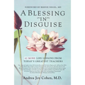 A Blessing in Disguise: 42 More Life Lessons From Today's Greatest Teachers - Paperback | Books | Wiccan Center