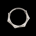Maris- Titanium Hinged Ring | Hinged Segment Ring | Wiccan Center