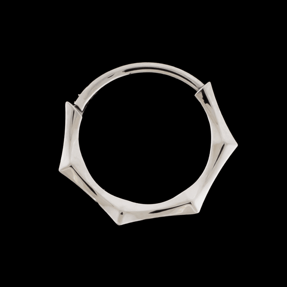 Maris- Titanium Hinged Ring | Hinged Segment Ring | Wiccan Center